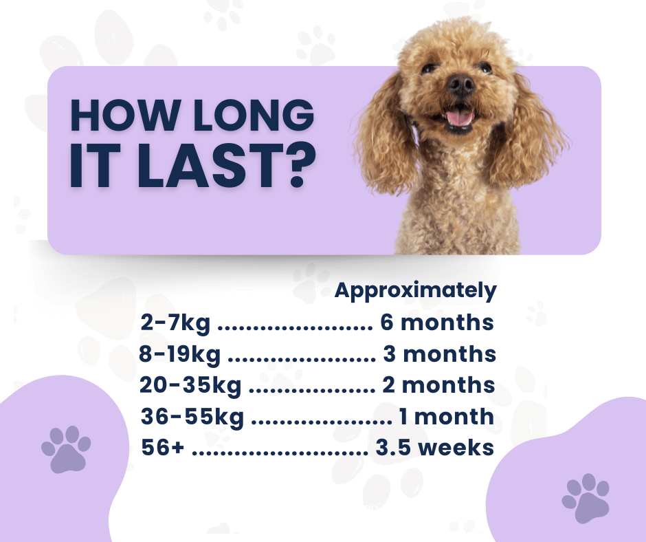 Dog Probiotic Powder product image 4