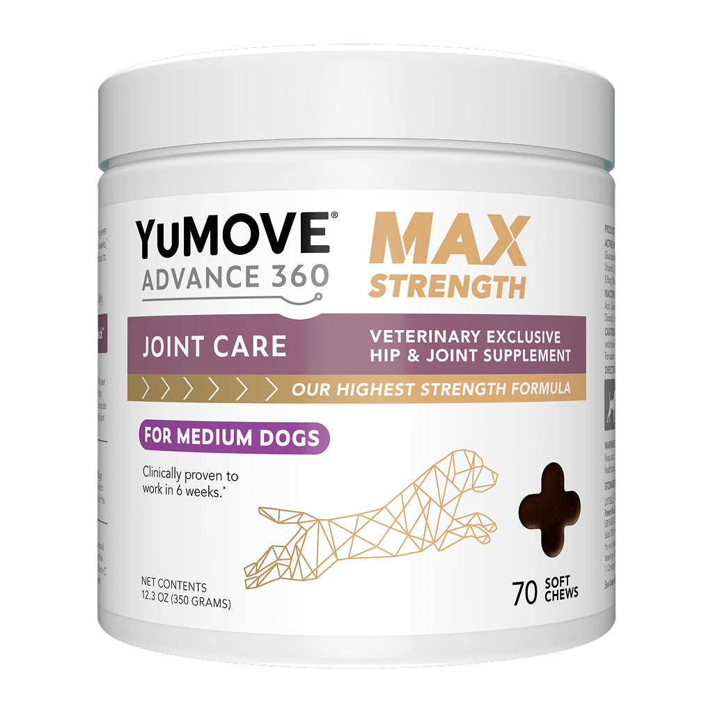 Dog Joint Supplement product image 6