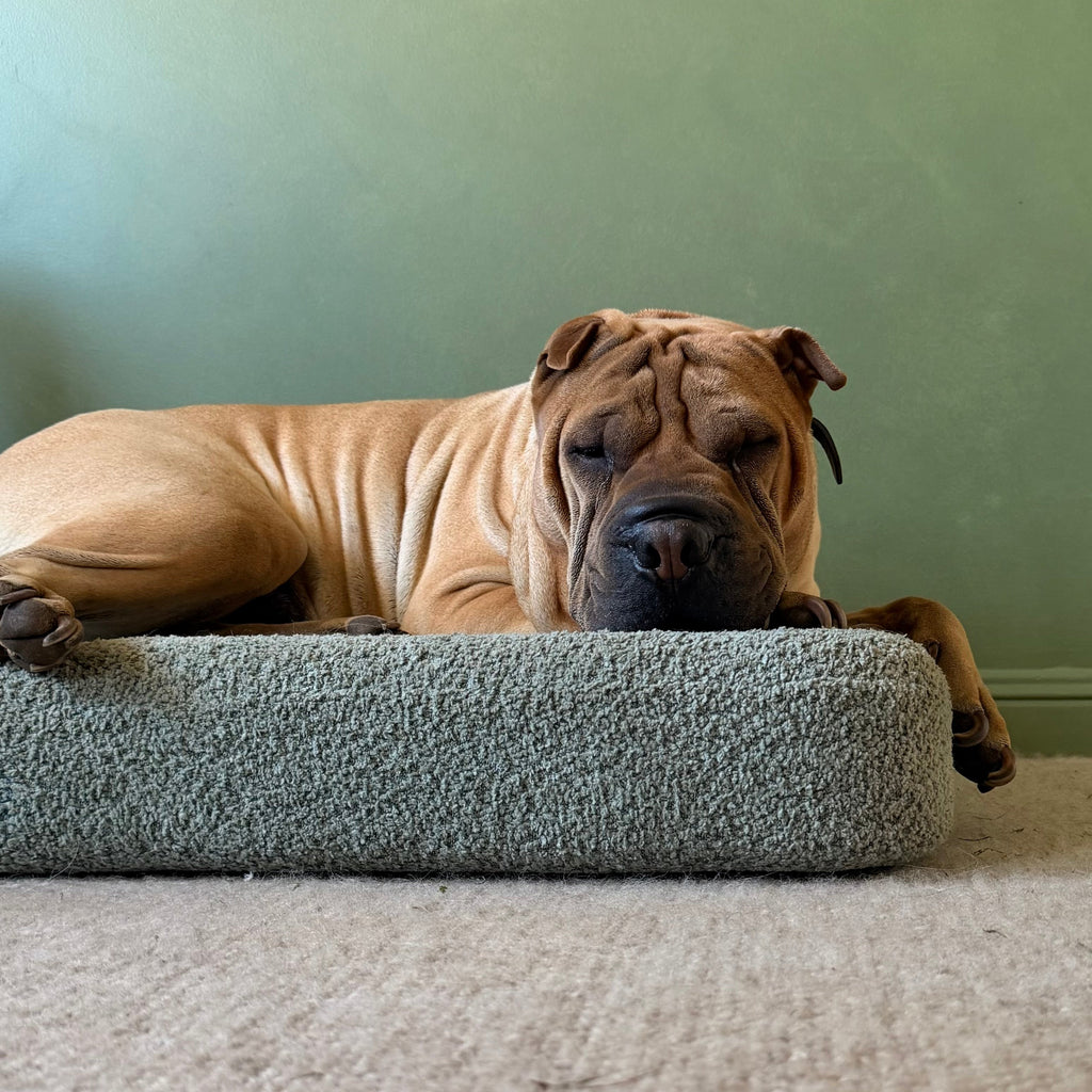 Dog Crate Mat product image 1