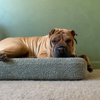 Dog Crate Mat product image 1