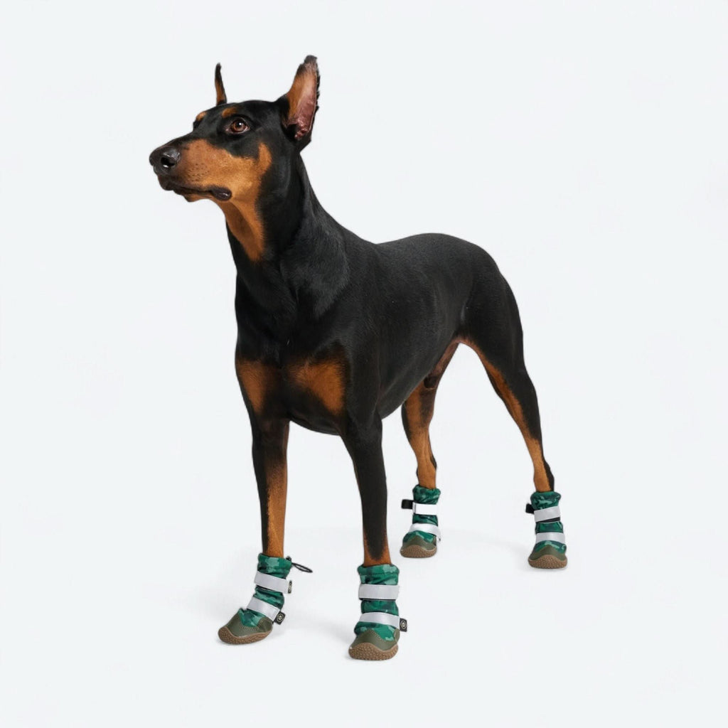 Dog Rain Boots product image 2