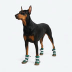 Dog Rain Boots product image 2