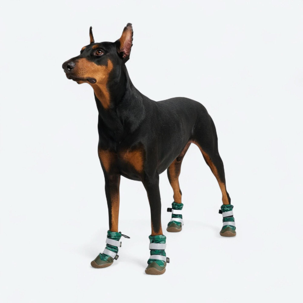 Dog Rain Boots product image 2