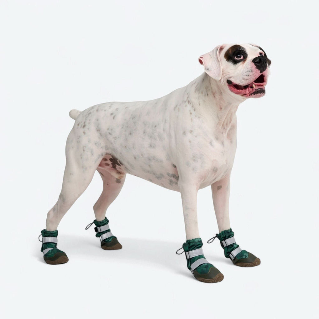 Dog Rain Boots product image 5