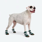 Dog Rain Boots product image 5