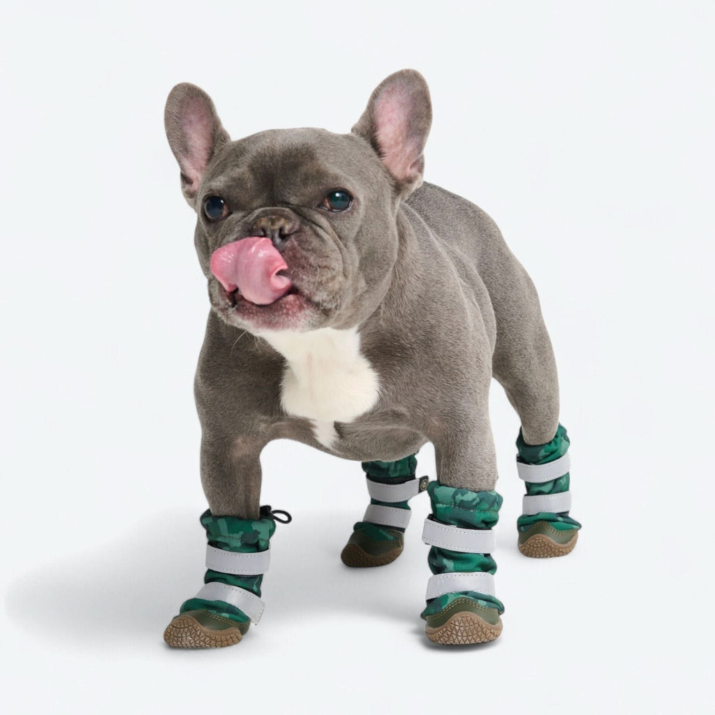 Dog Rain Boots product image 7
