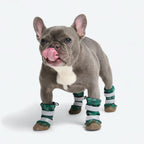 Dog Rain Boots product image 7