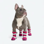 Dog Rain Boots product image 2