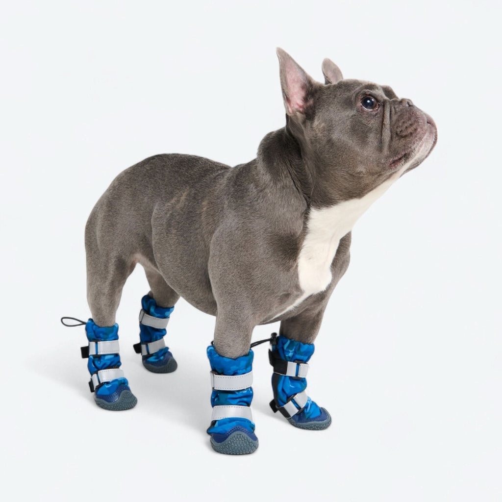 Dog Rainboots product image 1
