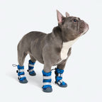 Dog Rainboots product image 1