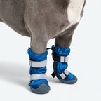 Dog Rainboots product image 2