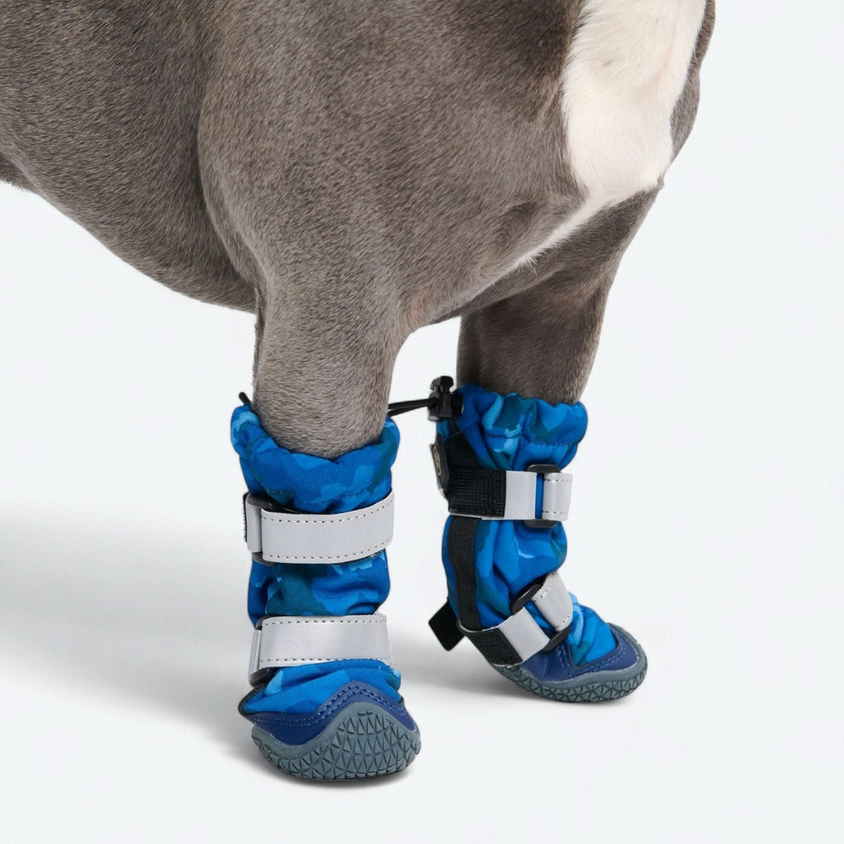 Dog Rainboots product image 2