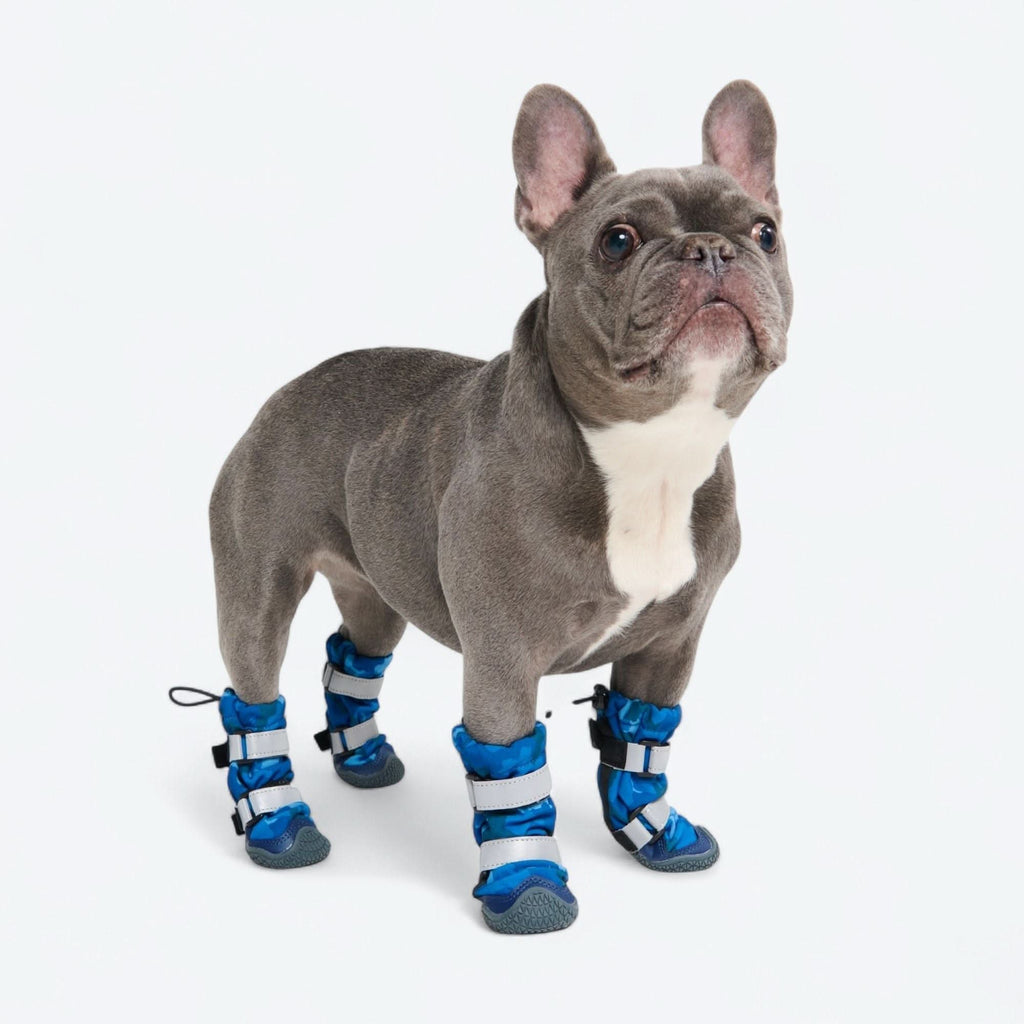 Dog Rainboots product image 4