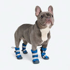 Dog Rainboots product image 4