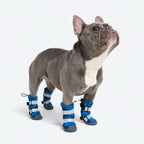 Dog Rainboots product image 7
