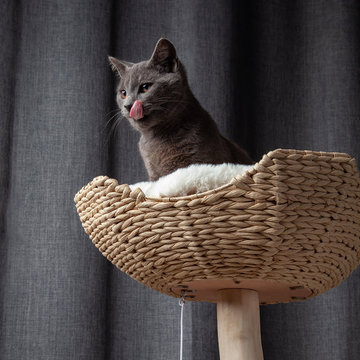 Cat Tree product image 11