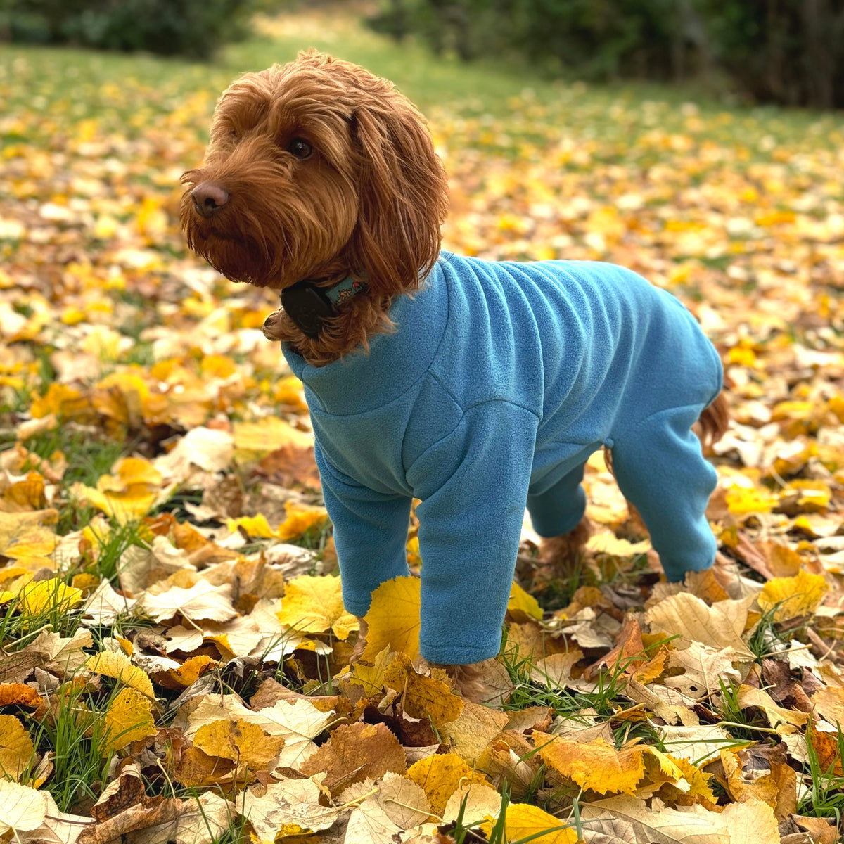 Dog Fleece product image 1