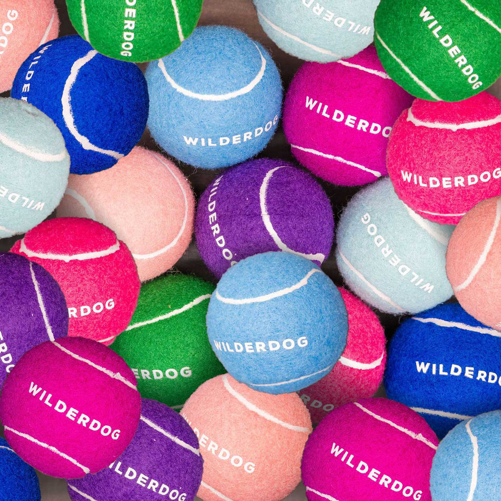 Dog Fetch Ball product image 2
