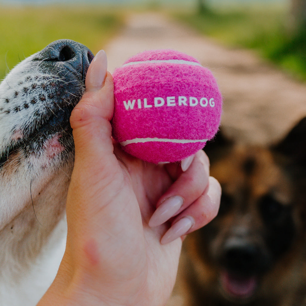 Dog Fetch Ball product image 4