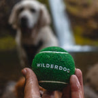 Dog Fetch Ball product image 5