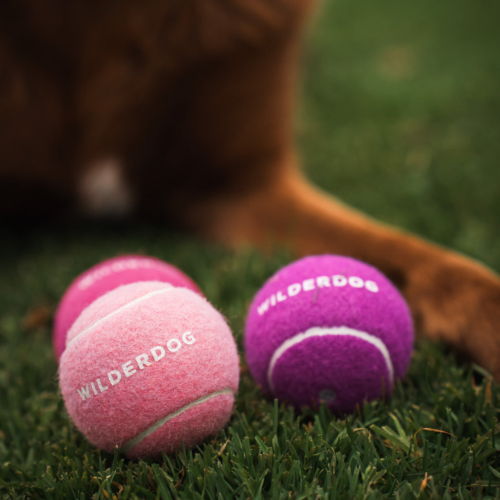 Dog Fetch Ball product image 6