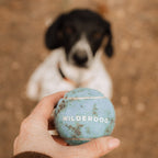 Dog Fetch Ball product image 7