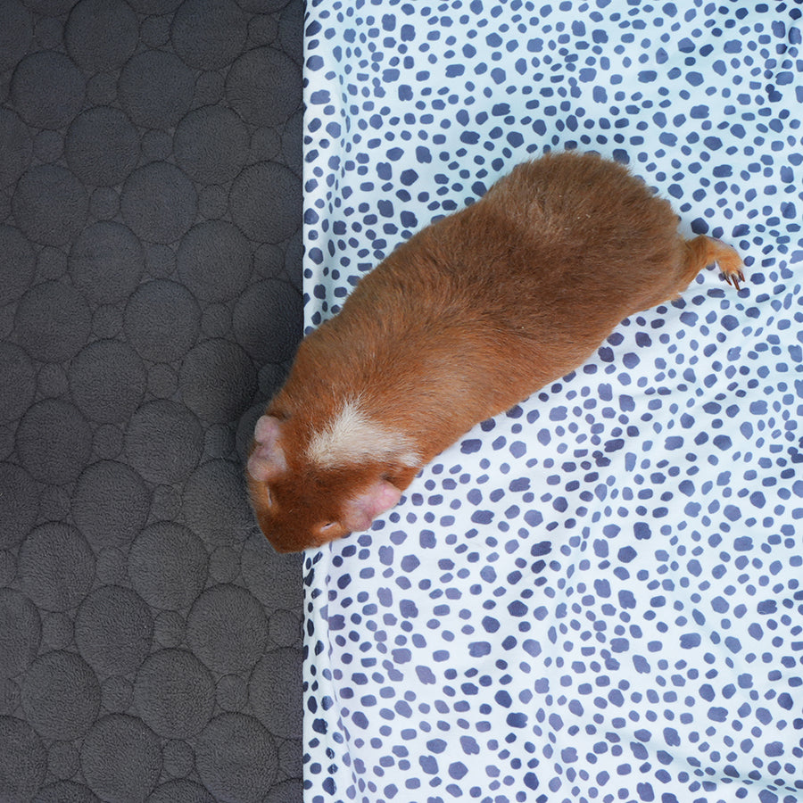 Guinea Pig Fleece Liner product image 1