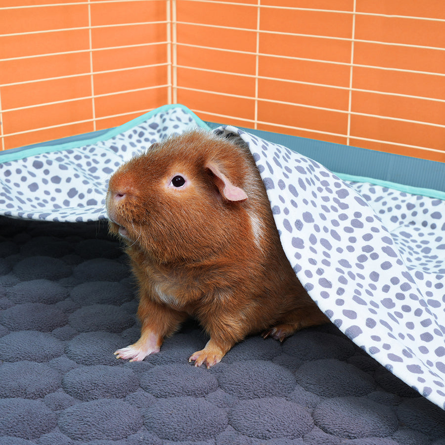 Guinea Pig Fleece Liner product image 2