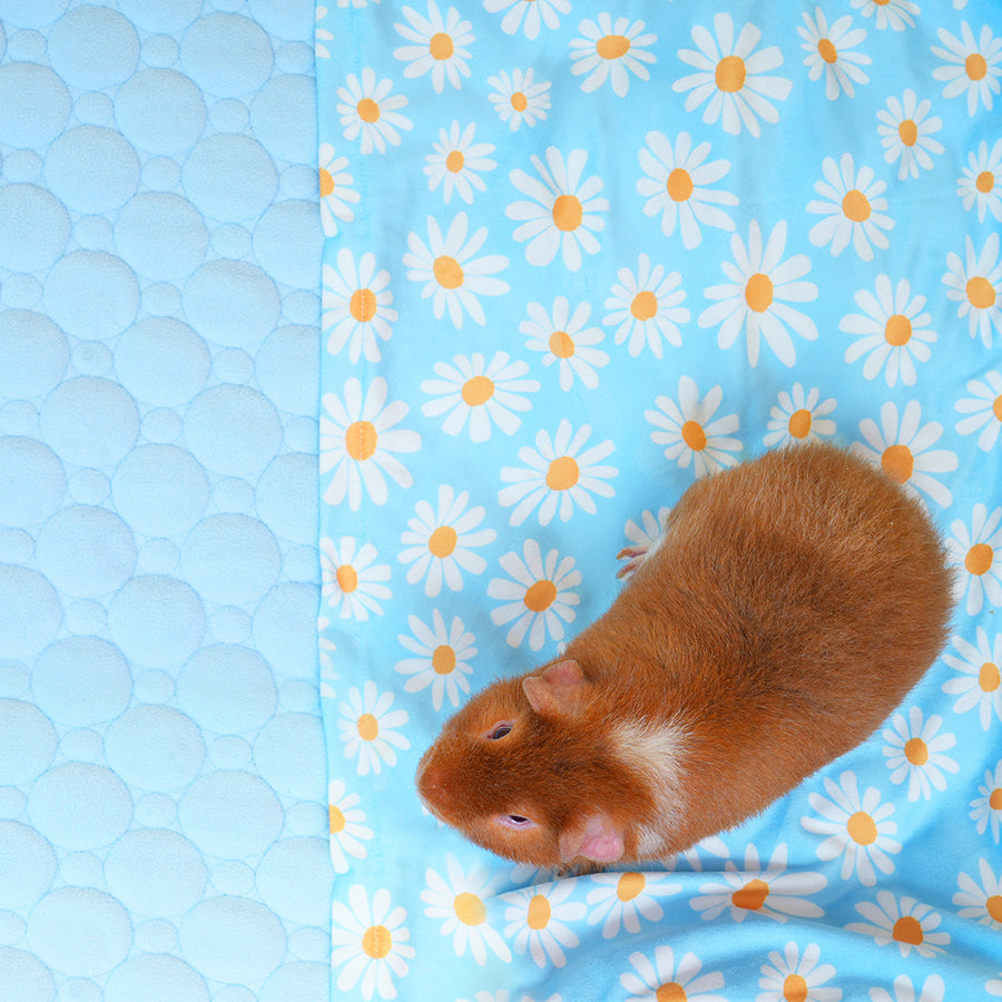 Guinea Pig Fleece Liner product image 1