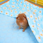 Guinea Pig Fleece Liners product image 2
