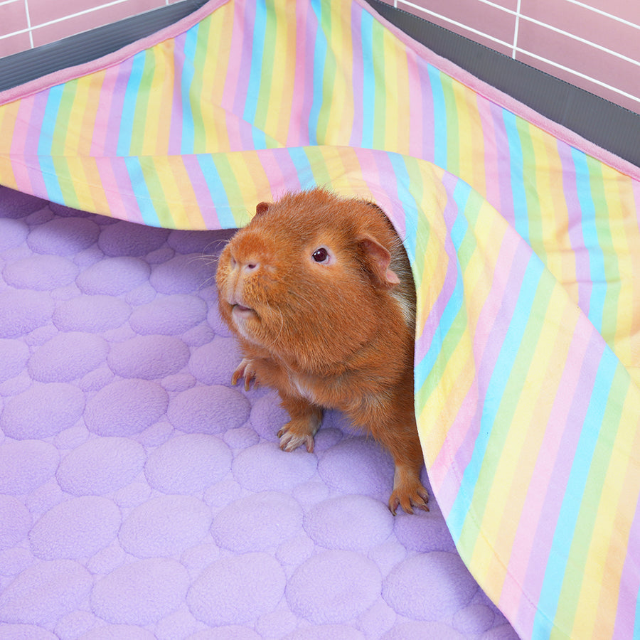 Guinea Pig Fleece Liner product image 2