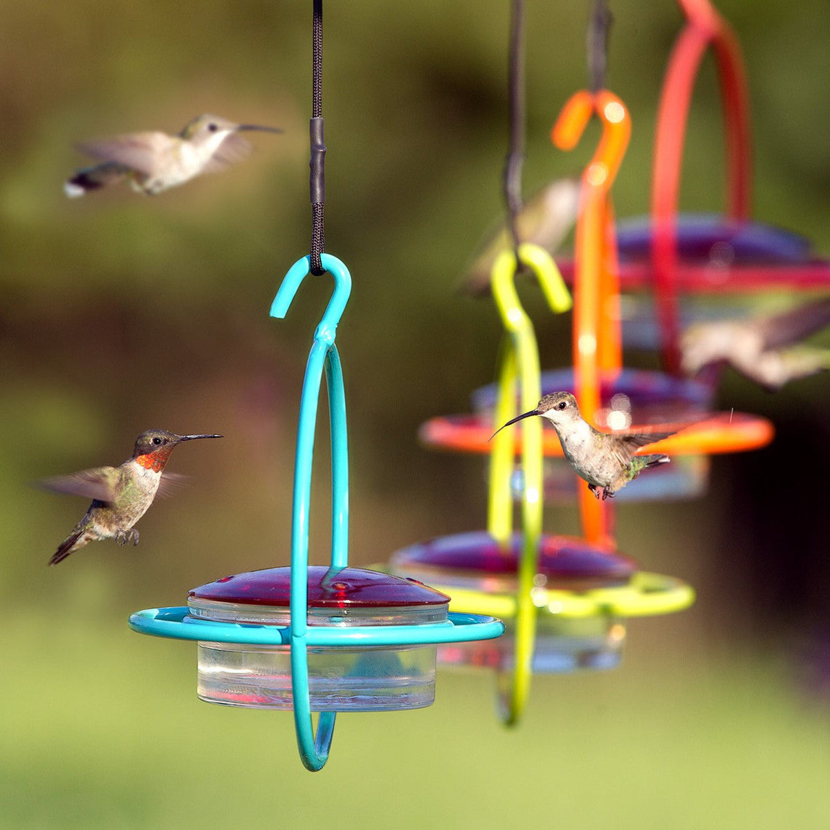 Hummingbird Feeder product image 1