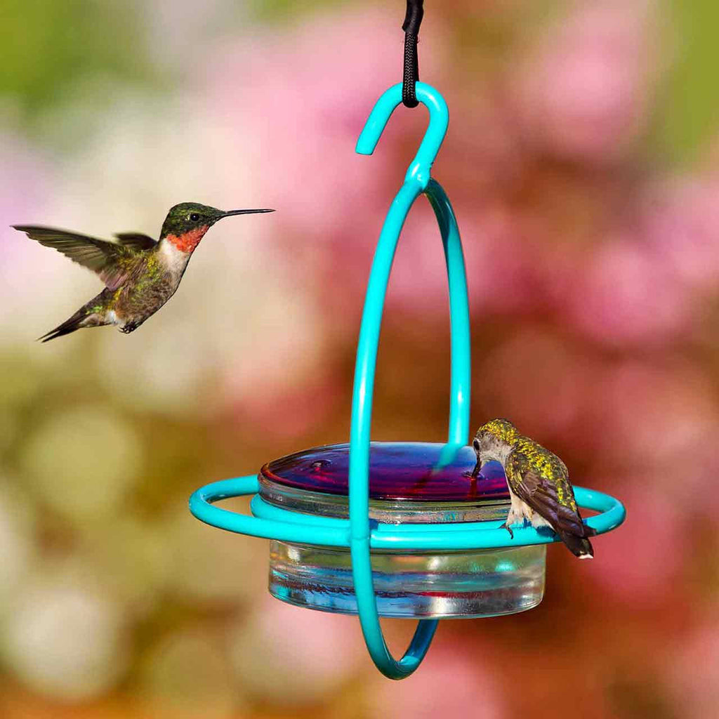 Hummingbird Feeder product image 2