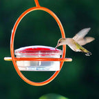 Hummingbird Feeder product image 6