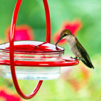 Hummingbird Feeder product image 8