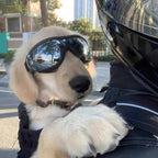 Dog Backpack Carrier product image 9