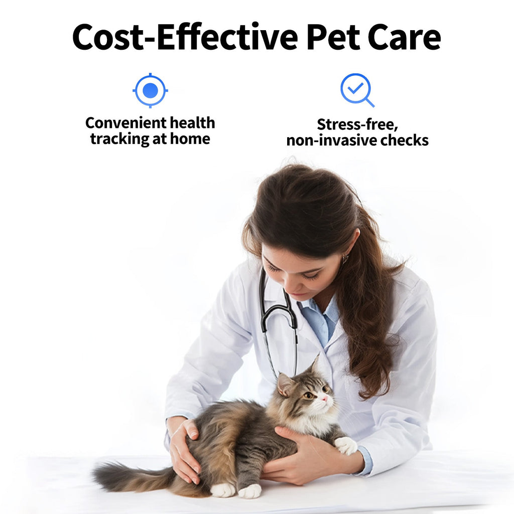 Cat Litter product image 4