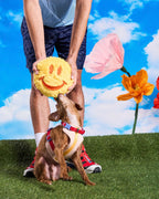Plush Dog Toy product image 10