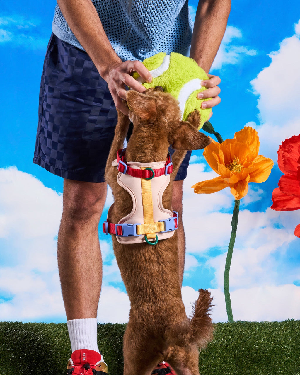 Plush Dog Toy product image 11