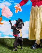 Plush Dog Toy product image 12