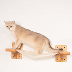 Wall Mounted Cat Hammock product image 5