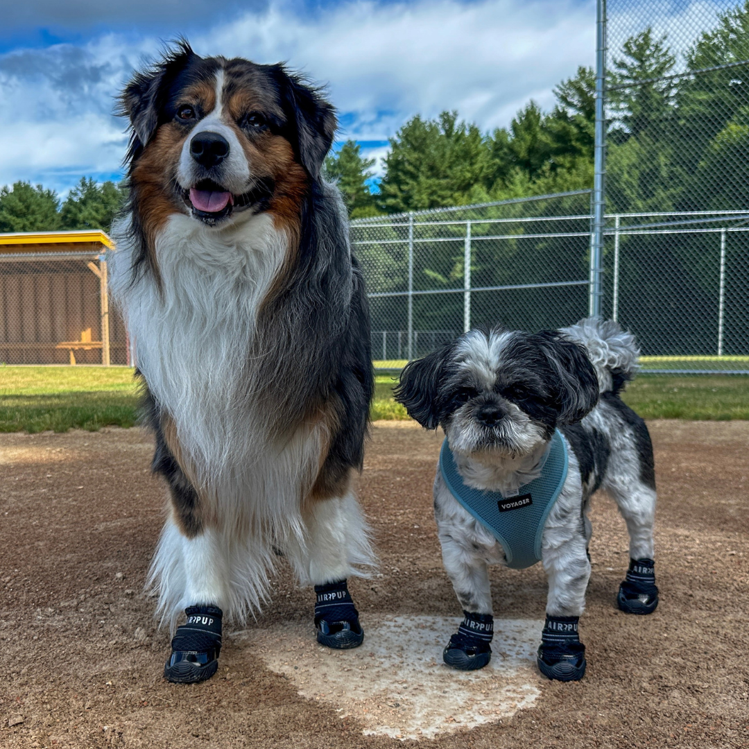 Dog Shoes product image 7
