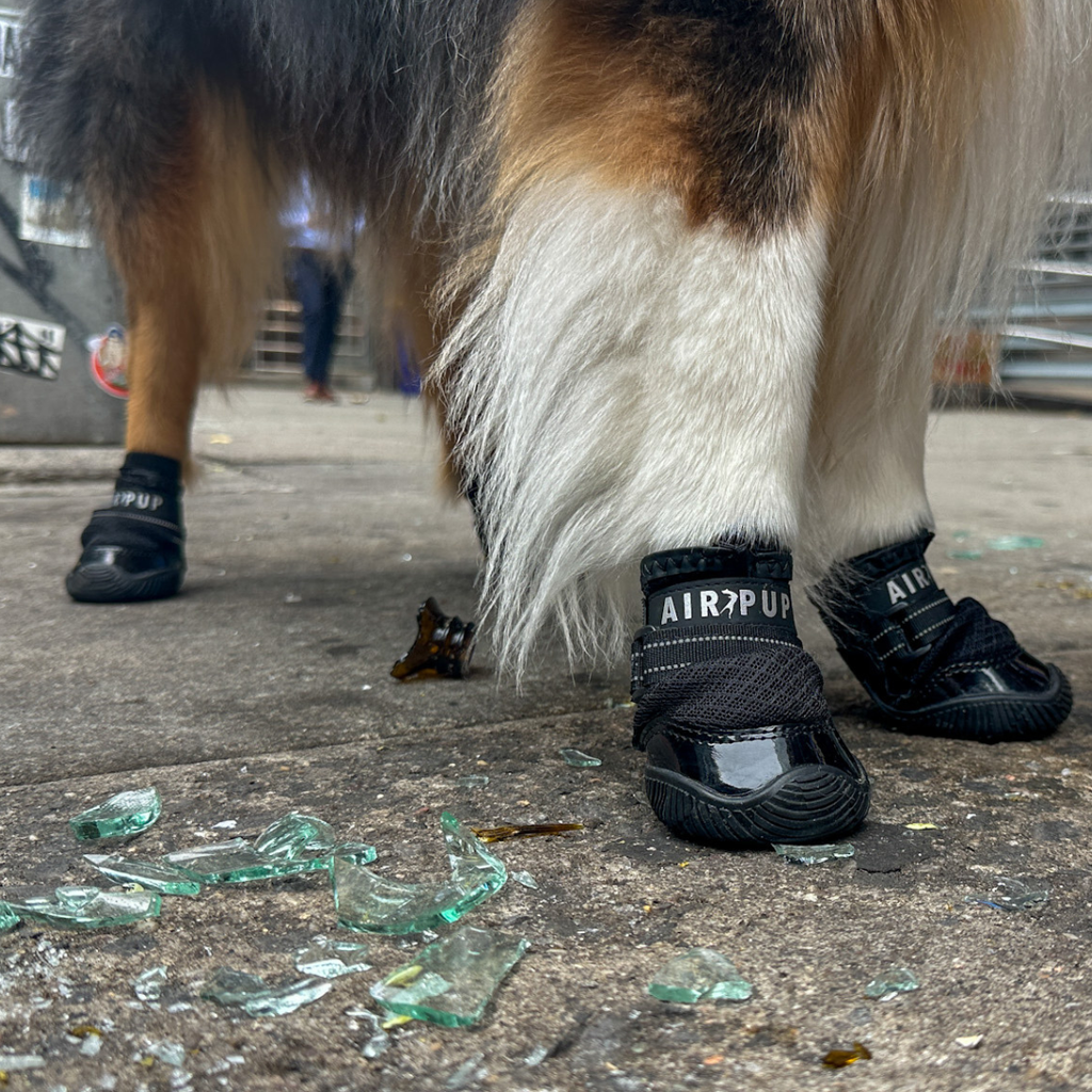 Dog Shoes product image 8