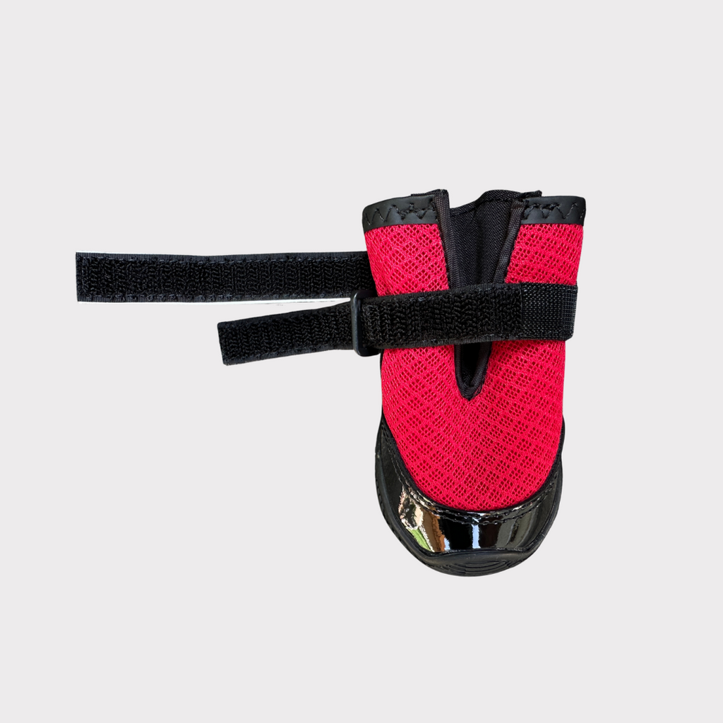 Dog Shoes product image 11