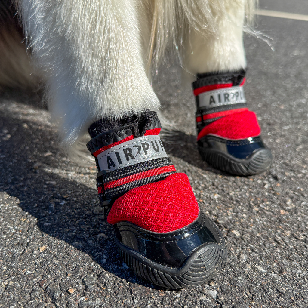 Dog Shoes product image 16