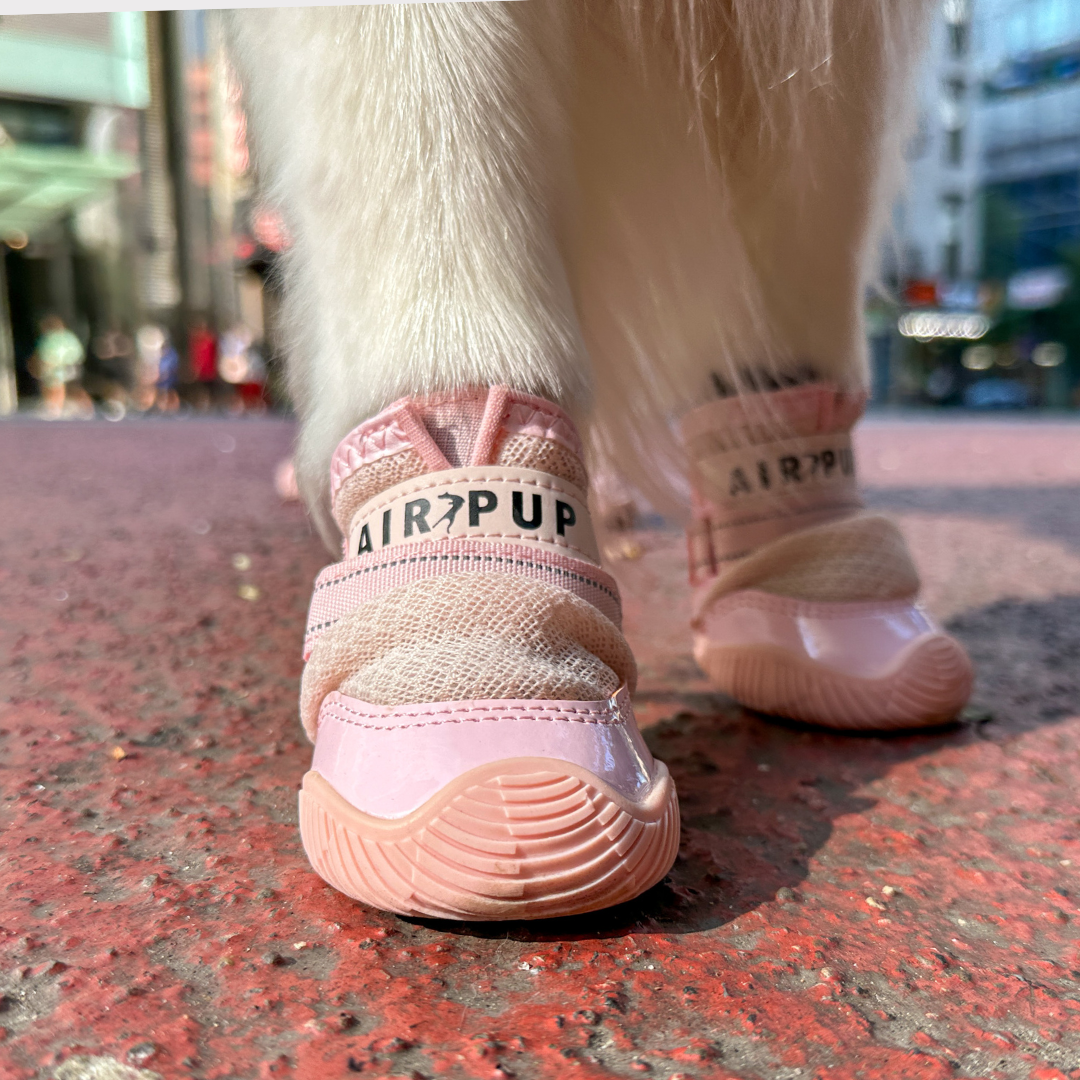 Dog Shoes product image 22
