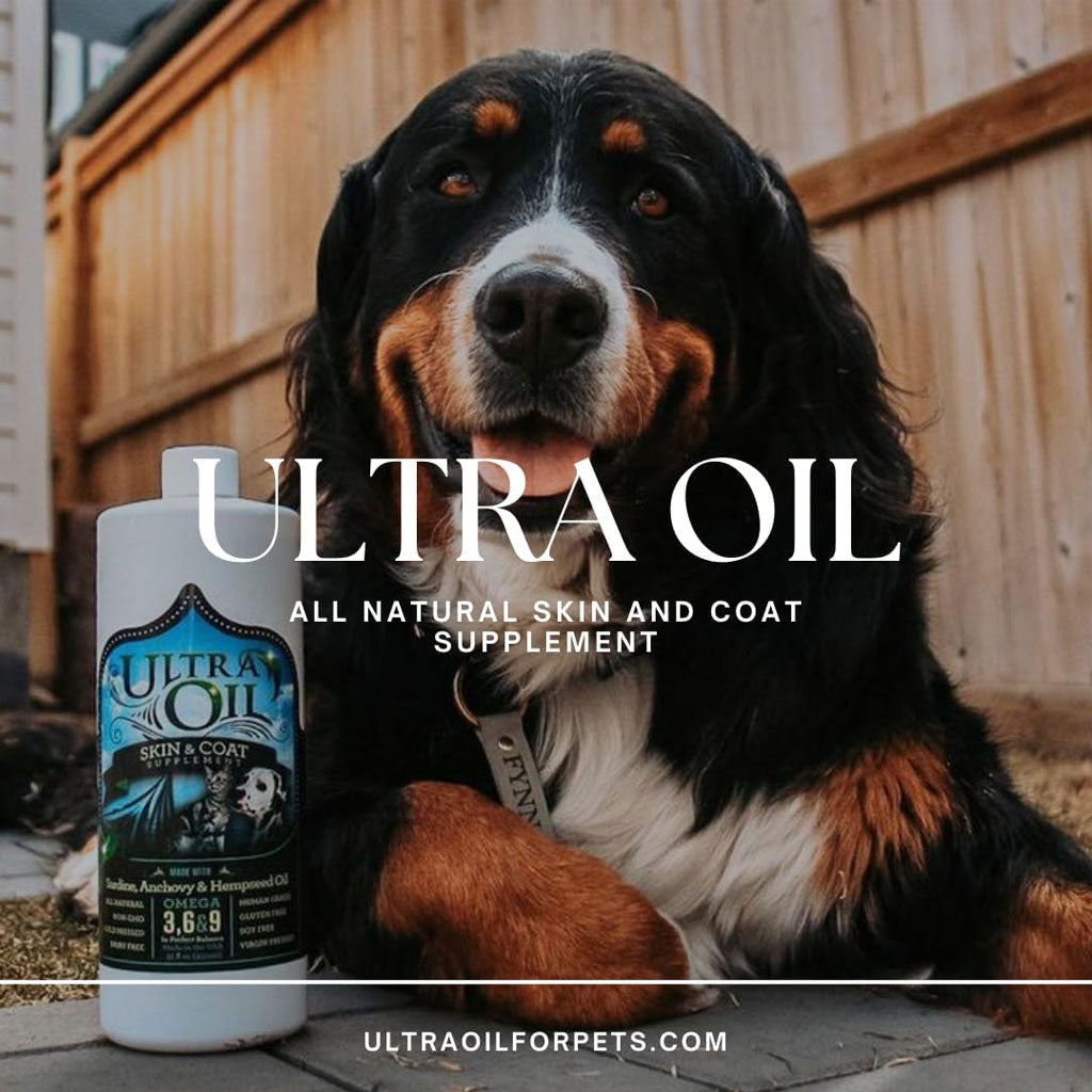 Skin & Coat Supplement product image 9
