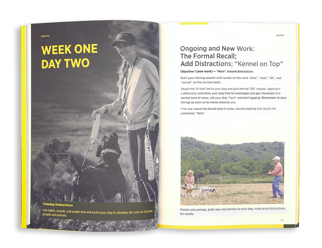 Dog Training Book product image 3