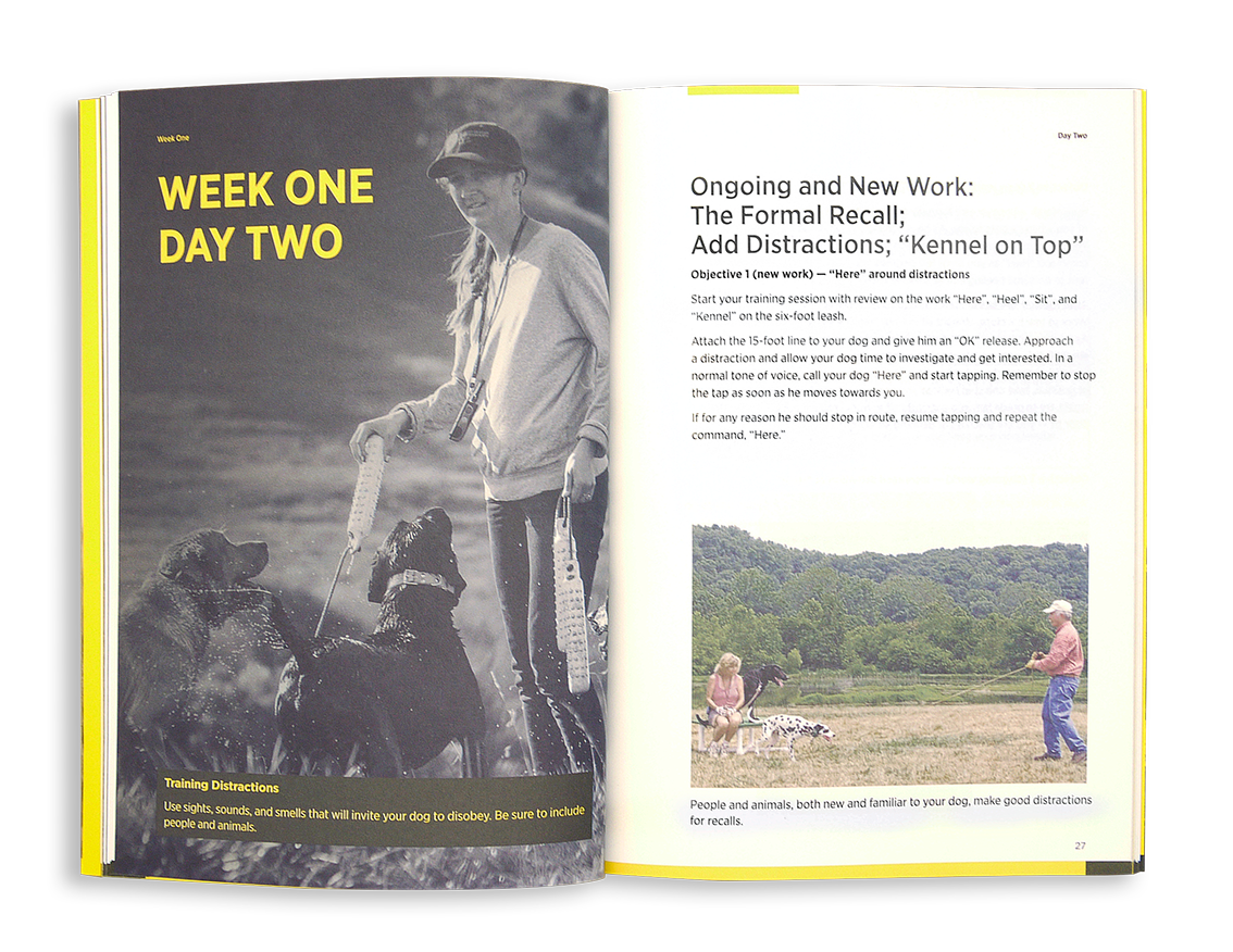 Dog Training Book product image 3