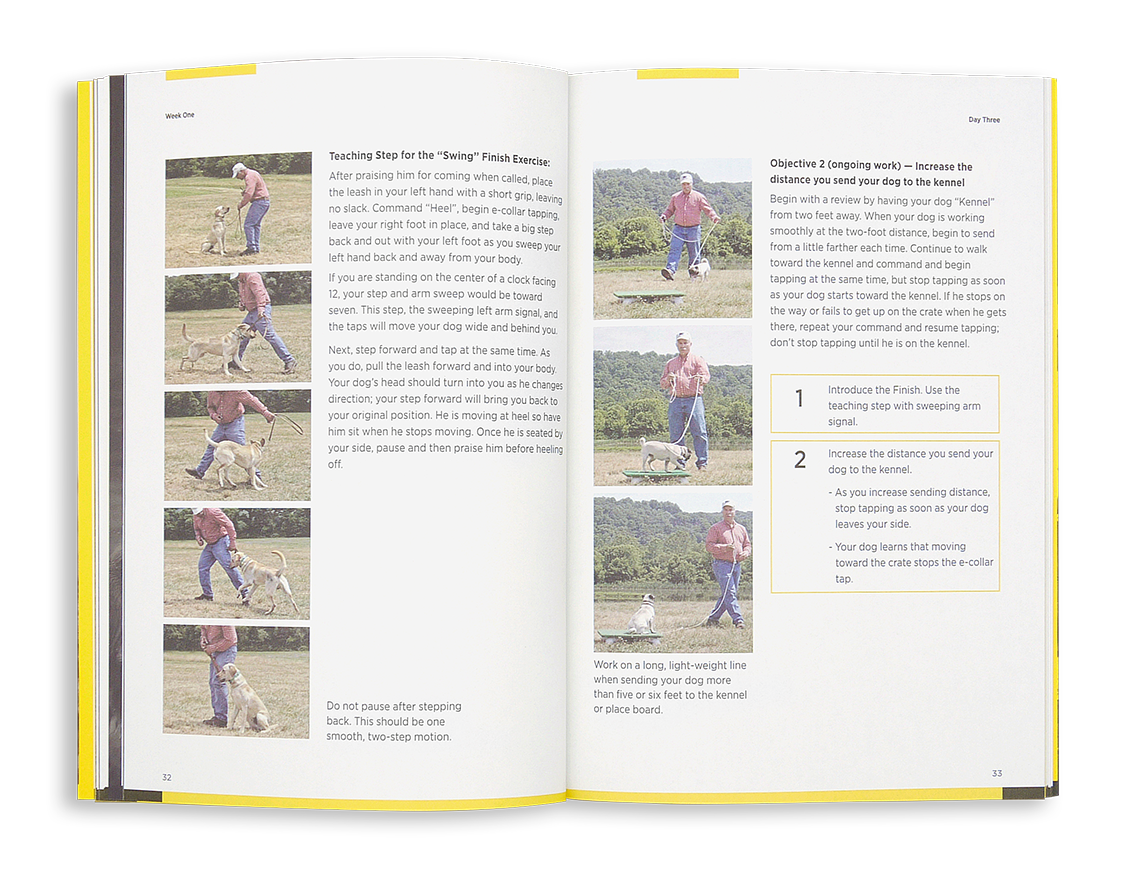 Dog Training Book product image 4